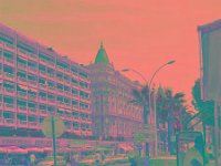 IMGP2733 edited (Medium)